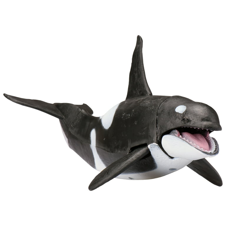 ~ side forhold Forudsige Kid Galaxy - 9" Posable Ocean Animal Figure Set, Humpback/Blue/Killer Whales  - Walmart.com