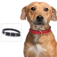 thumbnail image 4 of Collar de cuero para perros, collares ajustables para cachorros, collares para perros pequeños, collar multicolor para mascotas, 4 of 5