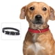 thumbnail image 4 of Collar de cuero para perros, collares ajustables para cachorros, collares para perros pequeños, collar multicolor para mascotas, 4 of 5