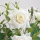 thumbnail image 4 of rosas artificiales rizadas | Ramo de novia de seda | Decoración del hogar, fotografía y decoración para fiestas | Blanco, rojo, rosa y vino, 4 of 6
