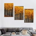 thumbnail image 4 of Nawypu  Birch Trees In Aspen Forest, Colorado Canvas Decorative Painting Poster Home Decor Art HD Pictures Bedroom Living Room Wall Art 12''x16''X3 Panels, 4 of 4