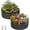 Round 2*2*1FT Dark Gray 2-pack, variant on Kicctian 2Pcs Galvanized Outdoor Raised Garden Bed, 2x2x1 ft Round Metal Planter Box for Vegetables, Herbs, and Flowers, Olive Green