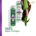 thumbnail image 3 of Dove Real Biomimetic Care Daily Shampoo with Vegan Collagen, Coconut, 10 fl oz, 3 of 10