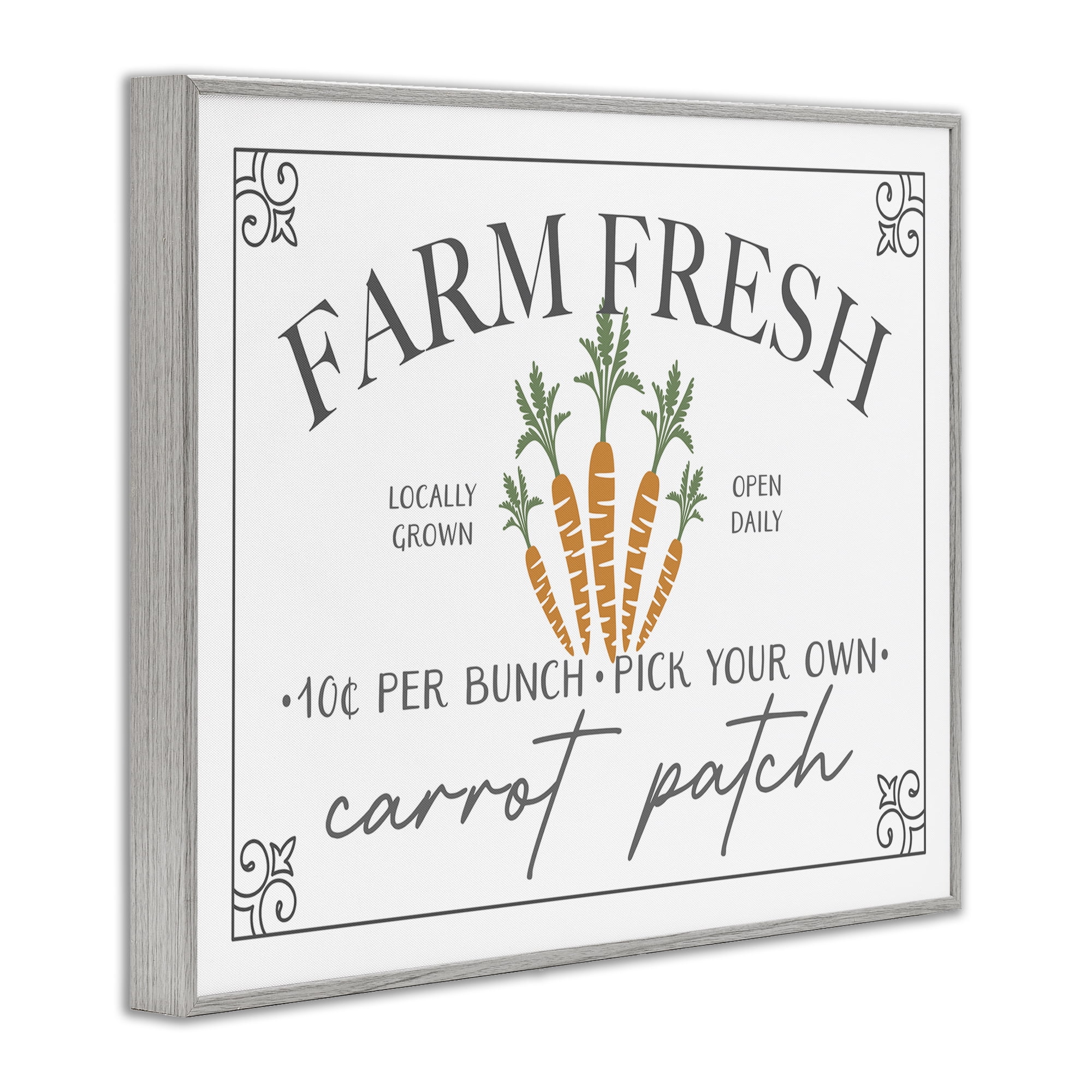Farm Fresh Carrot Patch Seasonal Springtime Vegetables Gray Framed Giclee Art, 20 x 16, By JJ Design House LLC
