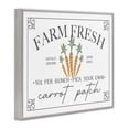 thumbnail image 2 of Farm Fresh Carrot Patch Seasonal Springtime Vegetables Gray Framed Giclee Art, 14 x 11, By JJ Design House LLC, 2 of 7