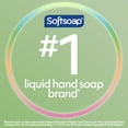thumbnail image 5 of Softsoap Antibacterial Liquid Hand Soap, Fresh Citrus, 11.25 Fluid Ounce Bottle, 5 of 17
