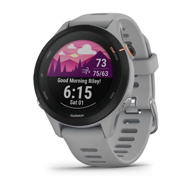 Garmin Forerunner 255S - Gris Poudre