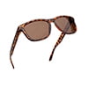 C-Leopard/Brown