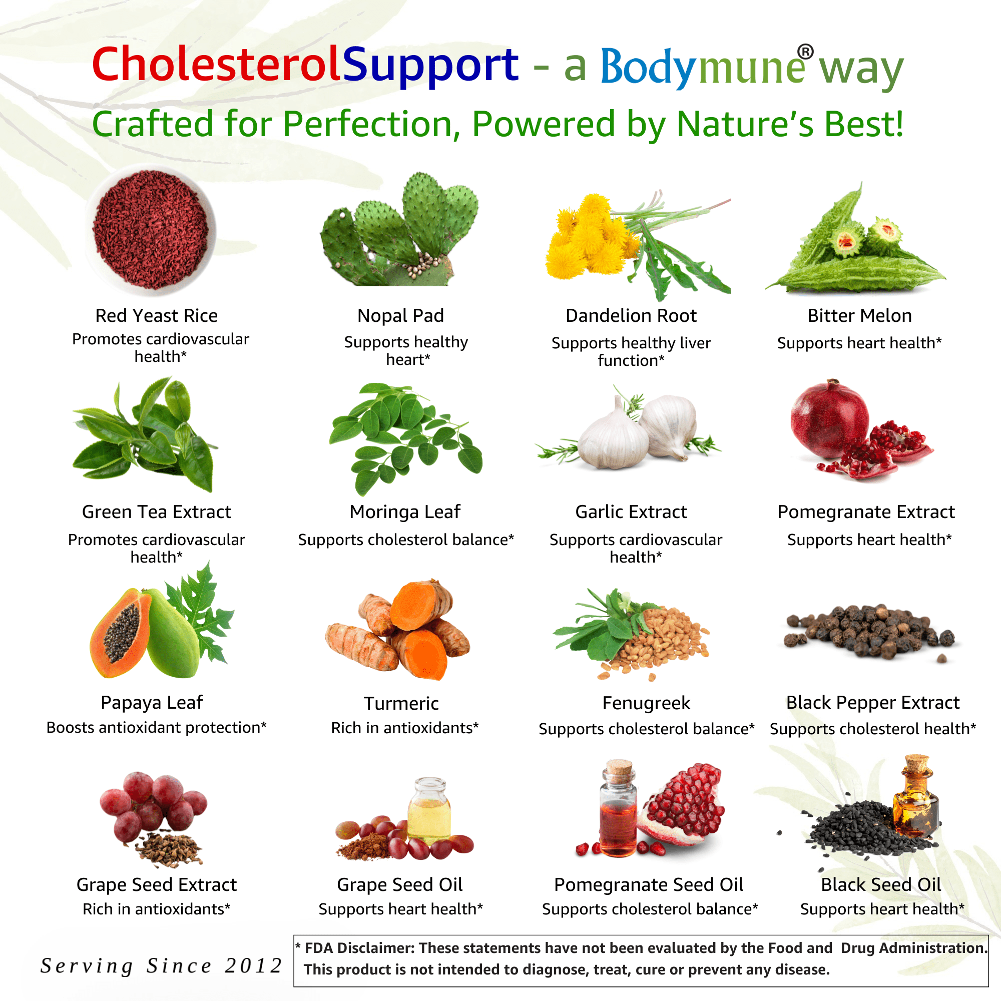 Bodymune CholesterolSupport | USDA Organic Supplement w/Extracts of Red Yeast Rice, Green Tea, Dandelion, Moringa | Supports Heart Health* | 60-Day Supply | Vegan, Non-GMO, Gluten-Free, Made in USA
