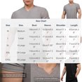 thumbnail image 3 of Yaoyar Men Breathable Casual Sports Fitness T Shirt Gym Workout V Collar Polo Shirts Summer Classic Pullovers, 3 of 8