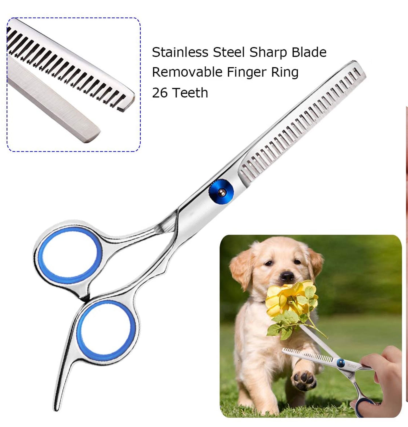 2pcs Professional Safe Round-Tip Pet Scissors + Fishbone Serrated Beauty  Scissors Set For Pet Grooming