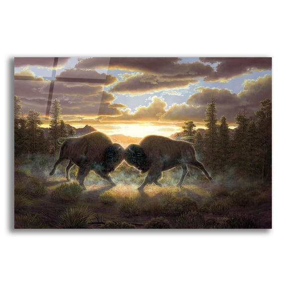 Epic Art 'Buffalo' by R. Hed, Acrylic Glass Wall Art, 24"x16"