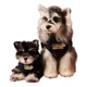 thumbnail image 1 of Ropa Para Perros Otoño E Invierno, 1 of 7