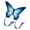 styleA, variant on Funny s Outdoor Toys, Flying Game, Playing Games, Beach Park Activity, Colorful Easy , for Adults Children Kids Gifts