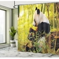 thumbnail image 5 of Ambesonne Animal Shower Curtain, Panda Sitting in Forest, 69"Wx84"L, Black Green, 5 of 5