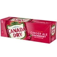 thumbnail image 6 of Canada Dry Caffeine Free Cranberry Ginger Ale Soda Pop, 12 fl oz, 12 pack Cans, 6 of 8
