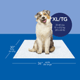 thumbnail image 2 of Scott Pet Guard Dog Pads - Dog Training Pee Pads for Puppies, Medium & Large Dogs - Up to 12 Hour Absorbent odour Control - Easily Disposable Dog Pee Pads - Size XL - 30" x 36" - 40 Pack, 2 of 4