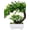 Blue_276, variant on LSLXA Artificial Bonsai Tree Potted Plant Simulation Grass Plastic Fake Plant for Desk Tabletop Living Room Bedroom Decor