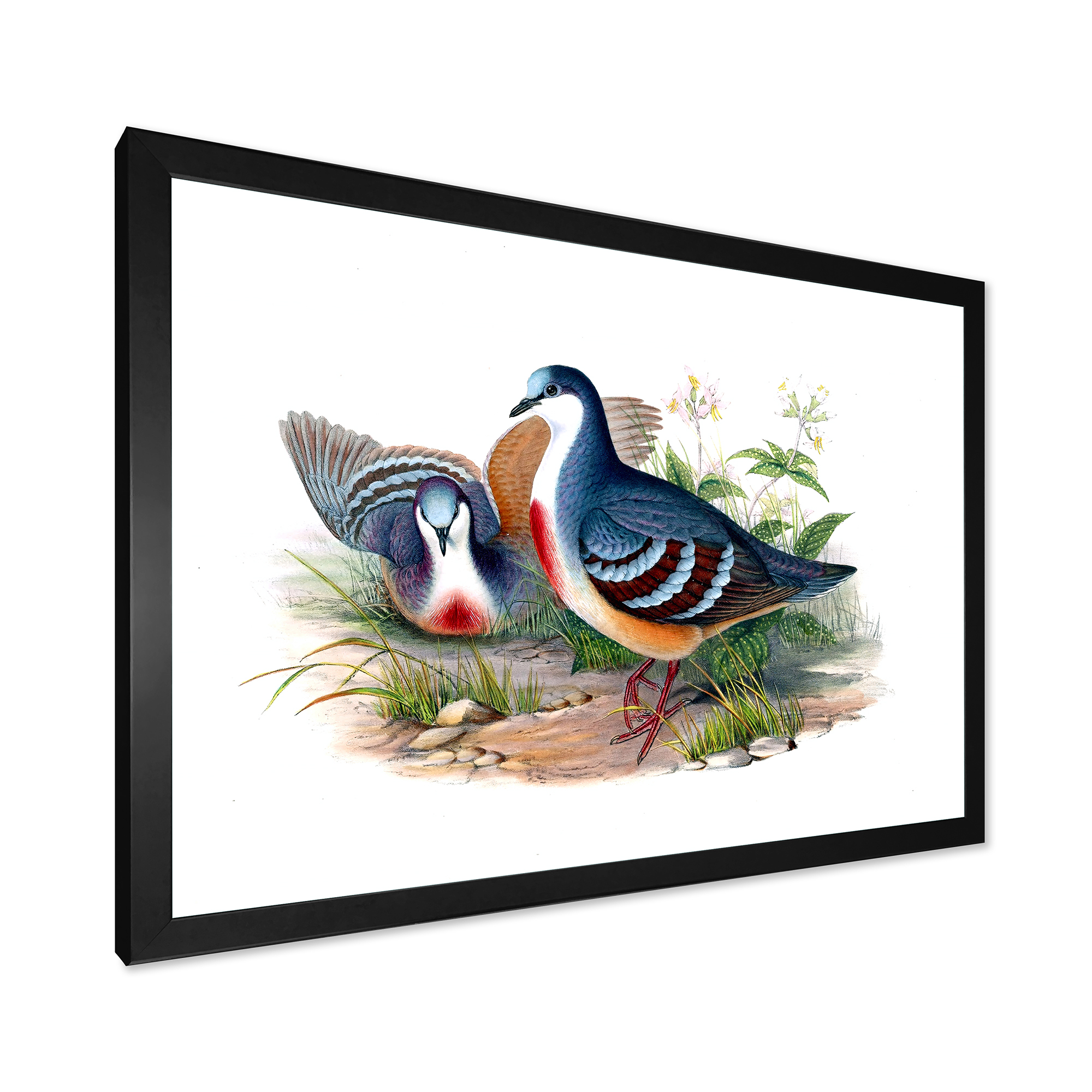 Designart 'Ancient Birds In The Wild IV' Traditional Framed Art Print