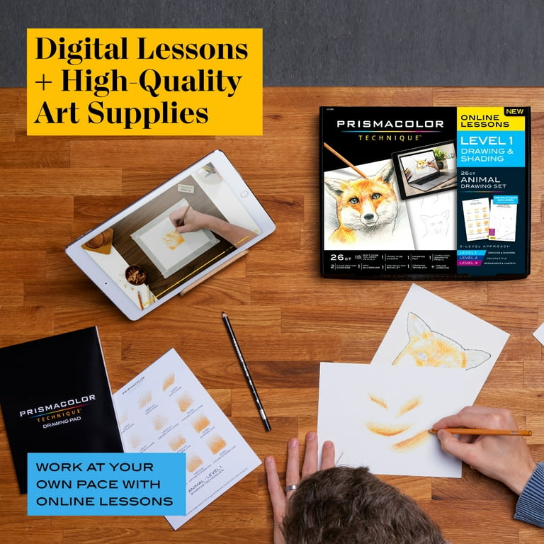 Prismacolor technique art supplies w/digital lessons level 1
