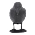 thumbnail image 1 of Practice Bow Decoy, PE Stable Standing Crow Decoy with Hook for Outdoor Shooting, 1 of 8