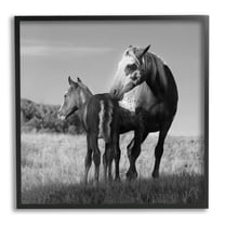 Stupell Industries Horse & Foal Photography Landscape Photography Black Framed Art Print Wall Art, 12 x 12
