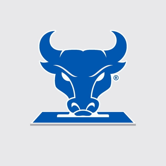 Color Shock Products NCAA Officially Licensed School Mascot Standee