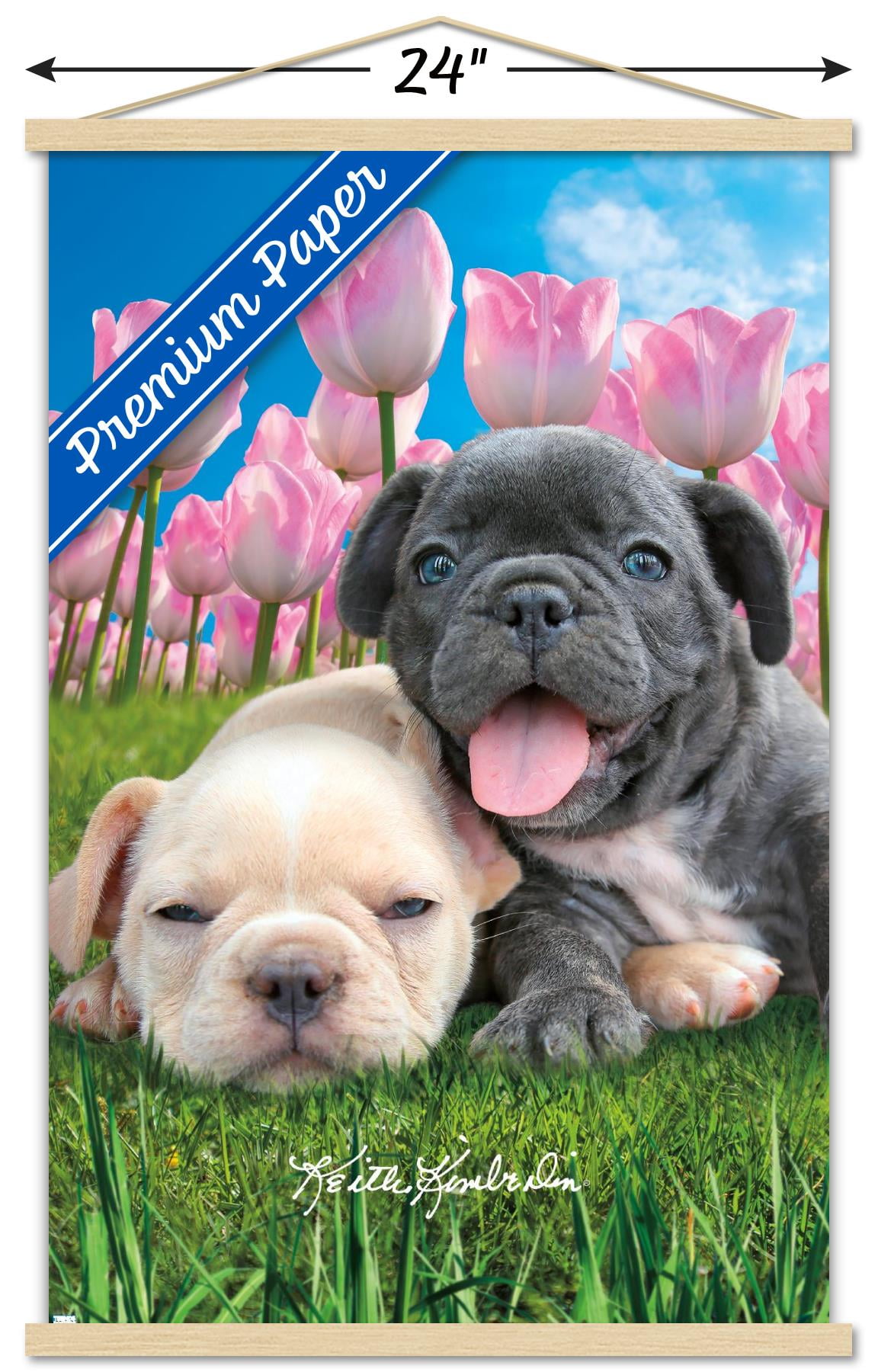 Keith Kimberlin - Bulldog Puppies Wall Poster with Wooden Magnetic Frame, 22.375" x 34"