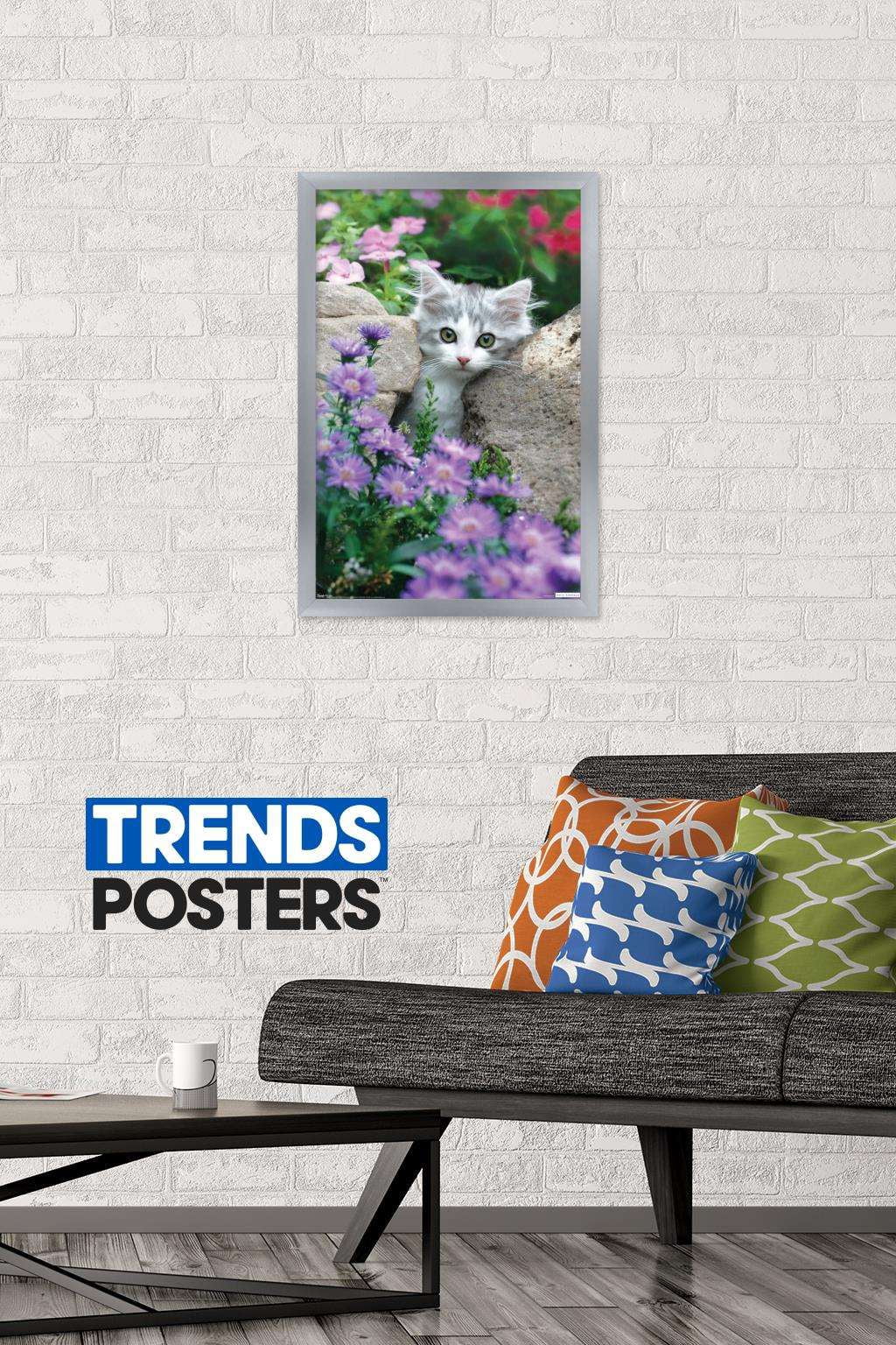Keith Kimberlin - Kitten - Stones and Flowers Wall Poster, 14.725" x 22.375", Framed