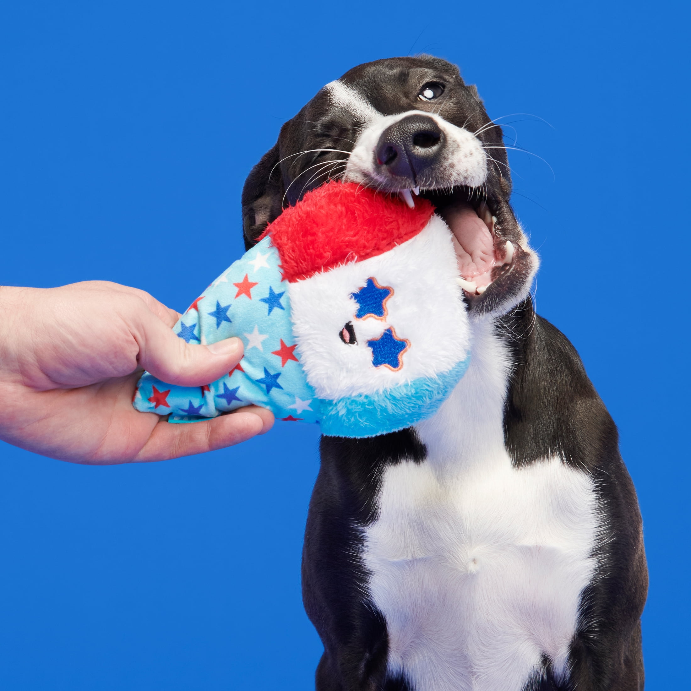 PetSafe Frosty Cone Dog Toys – … curated on LTK