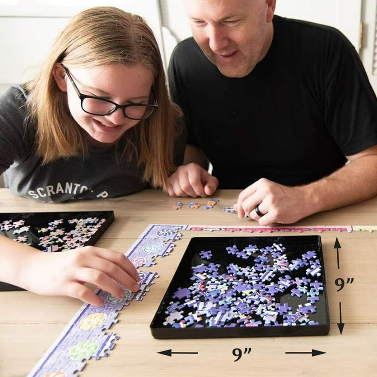 Black Puzzle Sorting Trays with Lid, 9