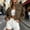 Brown women long sleeve zipper jacket a1, variant on Yrmaups Long Sleeve Zipper Jacket for Women, Slim Collared Blazer, Soft Solid Casual Layering Outerwear for Home Office Travel Daily, White 2XL