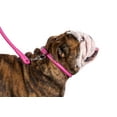 thumbnail image 7 of CollarDirect Rolled Leather Dog Collar for Large Dogs, Pink, 7 of 7