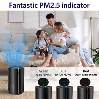 Ecotronic AP-250A Air Purifier, 258 sq ft Coverage, HEPA Filter, Black