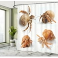 thumbnail image 5 of Ambesonne Sea Animals Shower Curtain, Hermit Crabs Pattern, 69"Wx84"L, Marigold and White, 5 of 5