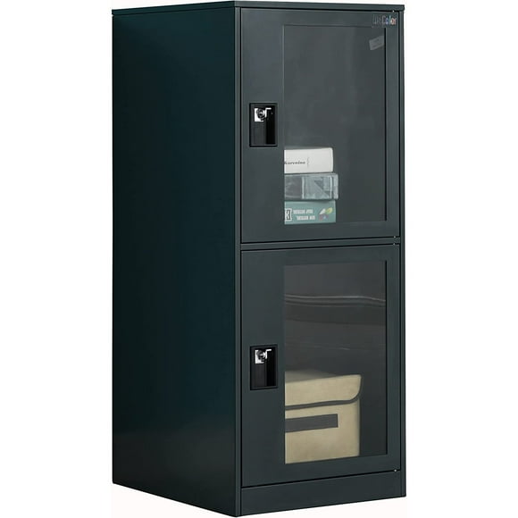 MECOLOR Petit Casier Vertical à un Seul Niveau avec Cadenas à Loquet, Porte en Plastique Transparente, Rangement à 2 Ou 3 Compartiments pour Employé, Maison, Bureau, Classeur, École, Enfants