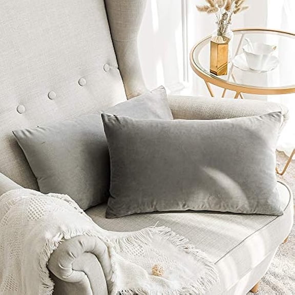 Eryueer Velvet Soft Soild Microfiber Decorative Square Pillow Case Throw Cushion Cover for Sofa Bedroom with Invisible Zipper Grey 12x20 inch 2 Pieces
