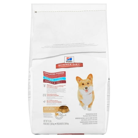 Best Wal Mart Cat Food Best Wal Mart Cat Food