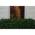 thumbnail image 3 of Northlight Net Style Incandescent Christmas Lights - 4' x 6' - Green - Green Wire, 3 of 4