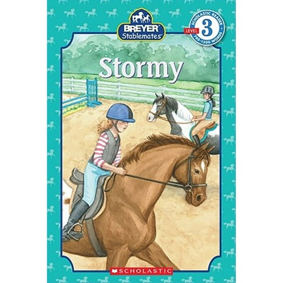 Stormy (Paperback) by Elizabeth Mills