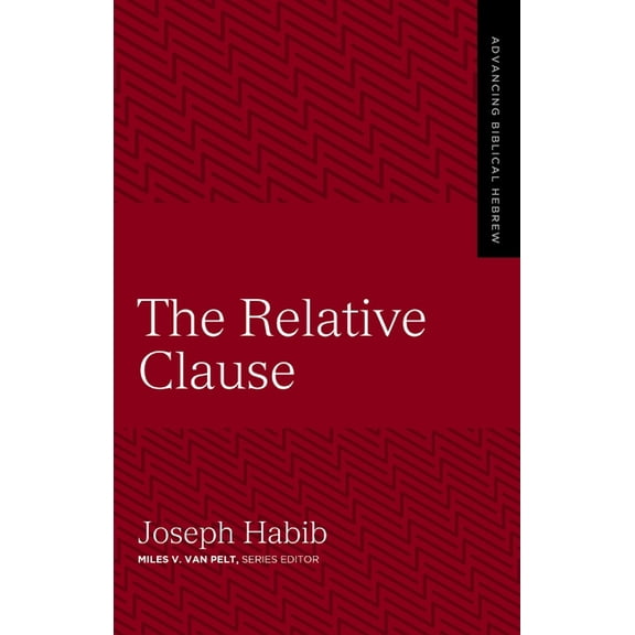Advancing Biblical Hebrew The Relative Clause: 3, (Paperback)