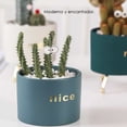 thumbnail image 4 of Macetero con Soporte Ilios Innova JY1105 Color Verde, 4 of 4
