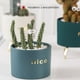 thumbnail image 4 of Macetero con Soporte Ilios Innova JY1105 Color Verde, 4 of 4