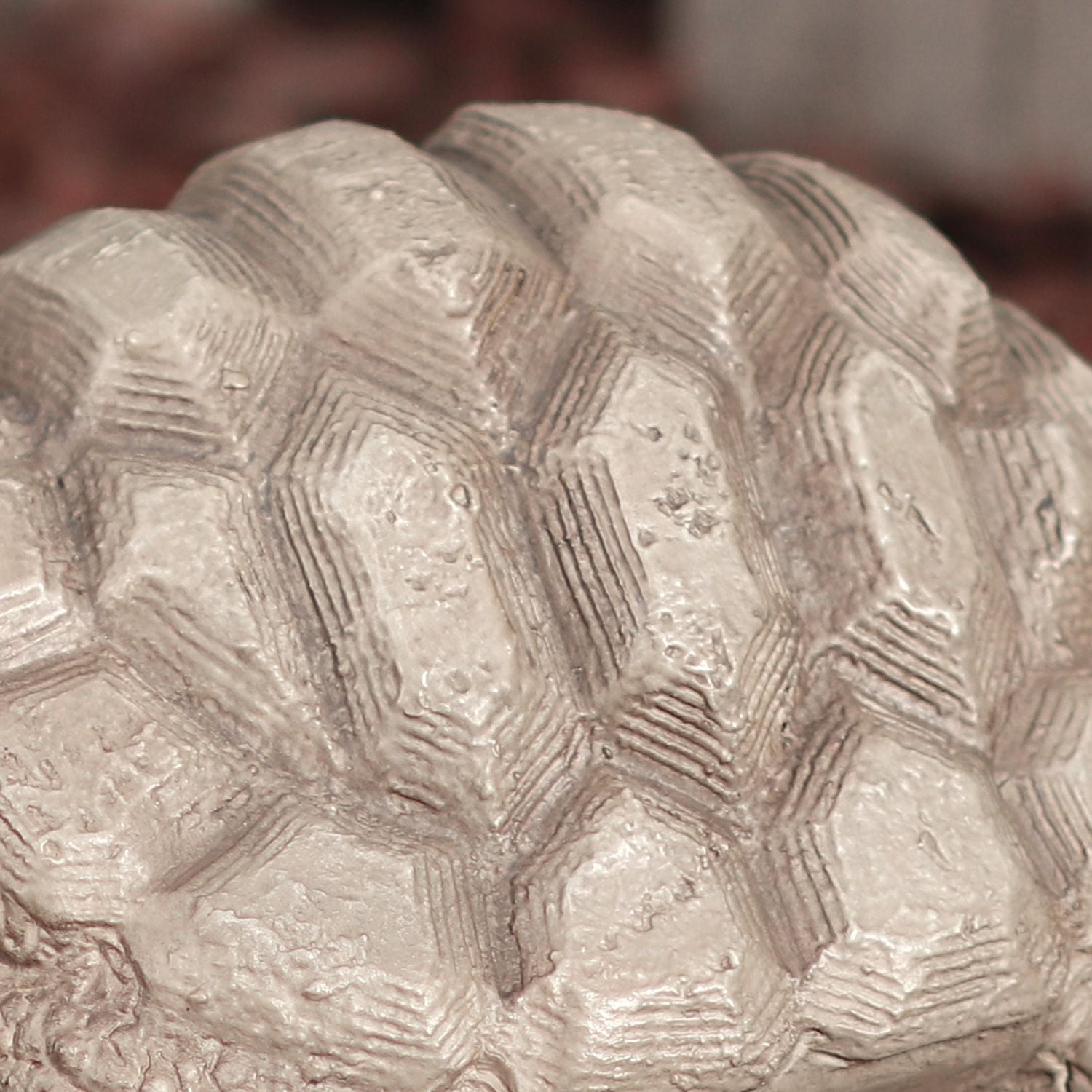 Better Homes & Gardens Turtle Statue, 9.3inL x 6.5in W x 4.75in H Brown Turtle Statue