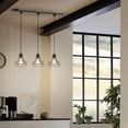 thumbnail image 4 of FSLiving H-Type Track Lighting Modern Industrial Look Cage Pendant Light Commercial Track Lighting Fixtures,Matte Black - 3 Pack, 4 of 8