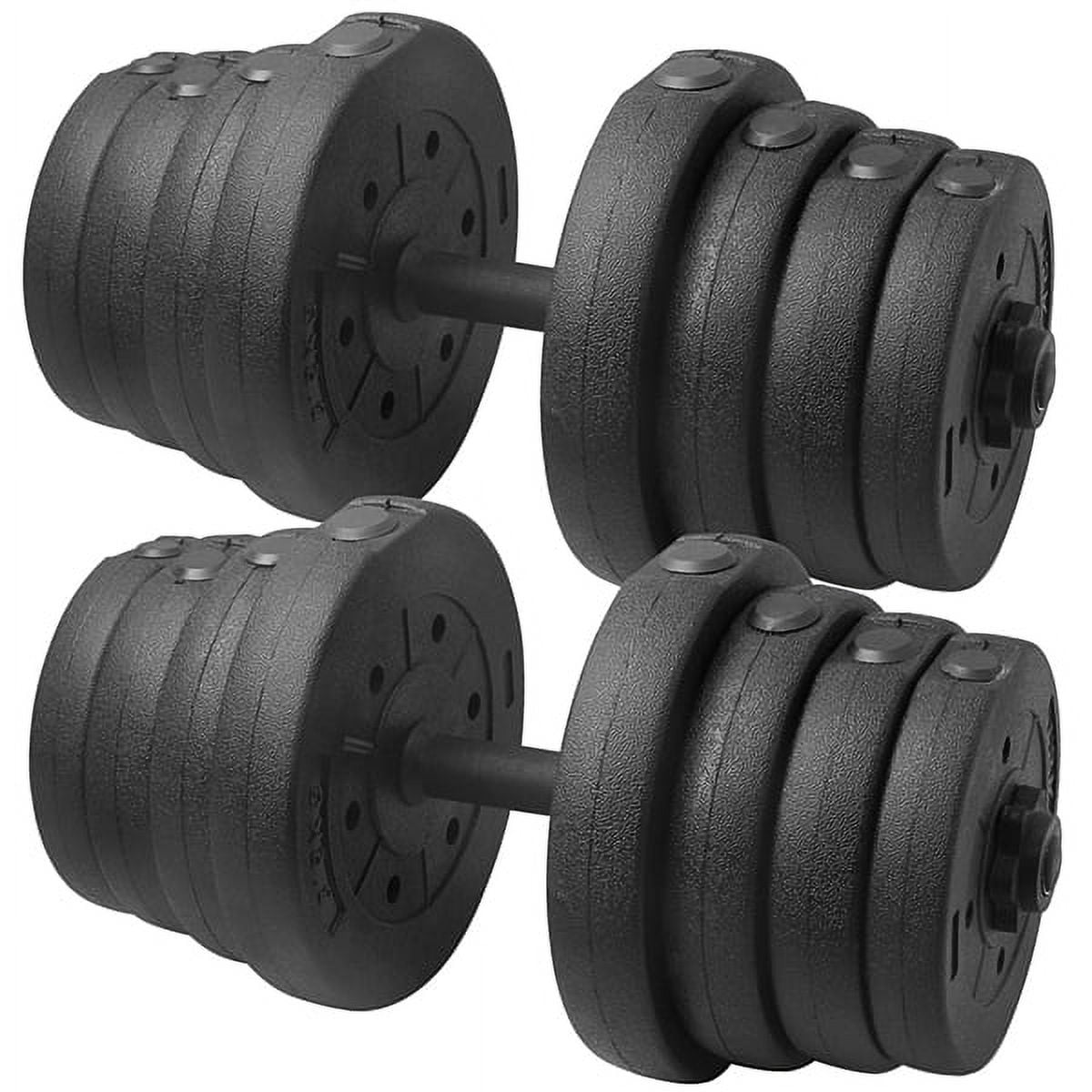 Alden Design 66 lb. Adjustable Dumbbells for Weight Training, Black