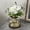 Vase+greenery+light+hydrangea, variant on Vintglfarmhouse Vase Rustic Lantern Decor With Plants Lavenders Lights Style For Home Flarrangement Housewarming Hostess Gift