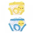 thumbnail image 1 of 2 Pack Pet Dog Floral Sanitary Dog Shorts Panty Female Puppy Shorts Pant Diaper Cute Underwear Supplies Pets, 1 of 5