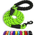 thumbnail image 1 of LAICAIW Dog Lead with Comfortable Padded Handle, Sturdy Dog Lead for Training and Walking, 150 x 1.2 cm, Reflective Soft Nylon Lead for Large Dogs, Green, 1 of 7