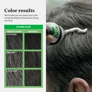 Just For Men Shampoo-In Haircolor, Gray Men's Hair Color - H-55 Real Black (3 Pack)